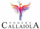 Logo podere callaiola